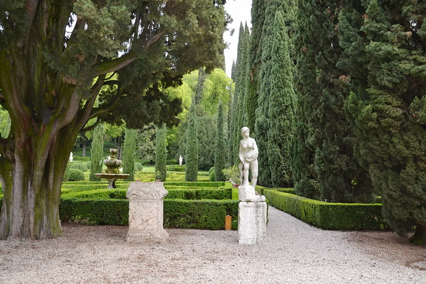 Дубы и кипарисы в итальянском саду