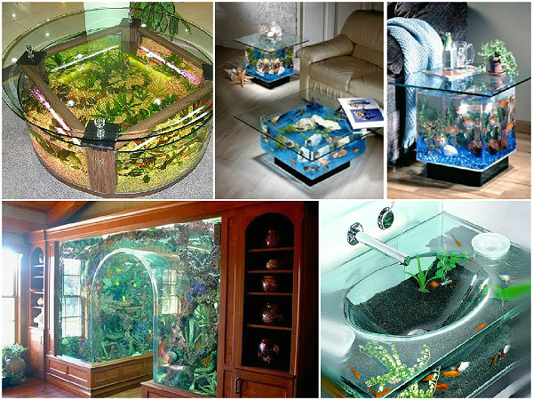 Декоративная вода и необычный аквариум – медитация за стеклом
