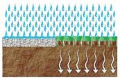 Газонная решетка не препядствует впитыванию влаги в почву способствуя естественному дренажу